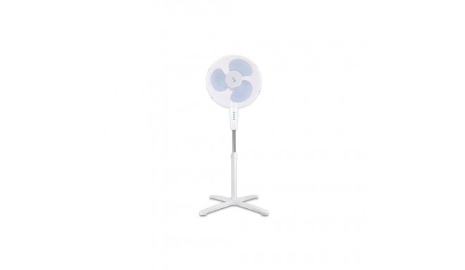 Beper P206VEN102
