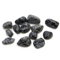 Ancient Wisdom Obsidian Snowflake Stone (24 Pcs. M Size)