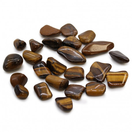 Ancient Wisdom Tiger's Eye - Golden (24 Pcs. Size S)