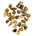 Ancient Wisdom Tiger's Eye - Golden (24 Pcs. Size S)