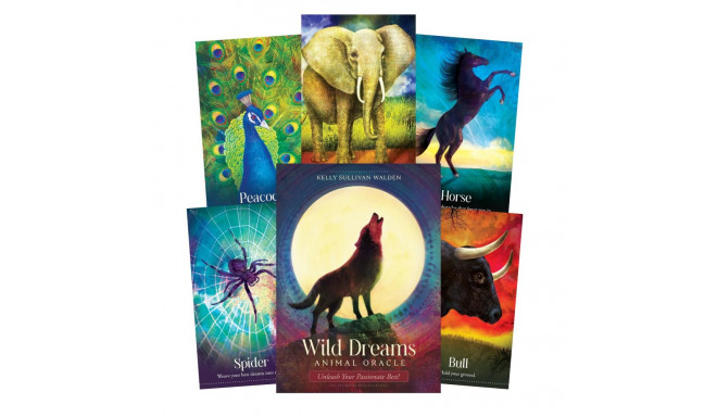 Blue Angel Wild Dreams Animal Oracle Cards
