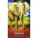 Blue Angel Wild Dreams Animal Oracle Cards