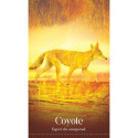 Blue Angel Wild Dreams Animal Oracle Cards