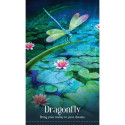 Blue Angel Wild Dreams Animal Oracle Cards
