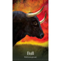Blue Angel Wild Dreams Animal Oracle Cards