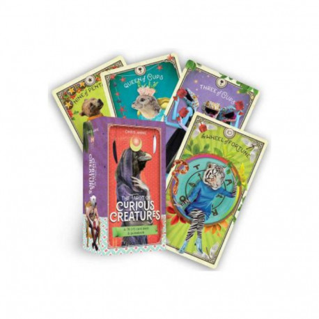 Tarot Cards Hay House The Tarot Of Curious Creatures