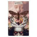 Hay House The Muse Tarot Cards