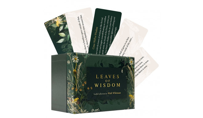 Blue Angel Leaves Of Wisdom Cards