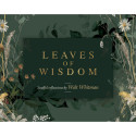 Blue Angel Leaves Of Wisdom Cards