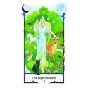 AGM Tarot Of The Old Path Cards