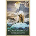 Blue Angel Earth Power Oracle Cards