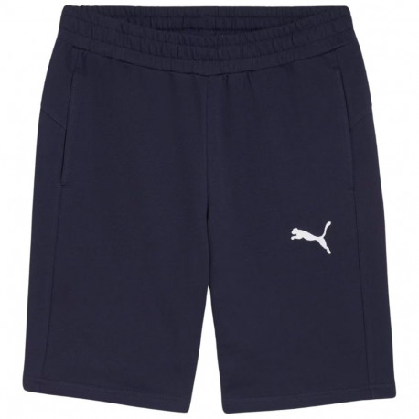 Puma meeste lühikesed püksid teamGOAL Casuals 658608 06 S, tumesinine