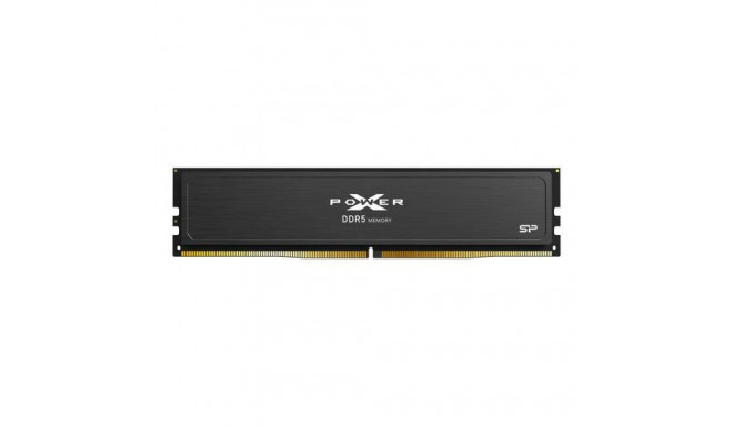 Silicon Power XPOWER Pulse memory module 32 GB 1 x 32 GB DDR5 6000 MHz ECC