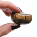 Ancient Wisdom Tiger's Eye (variegated) (12 Pcs. M Size)