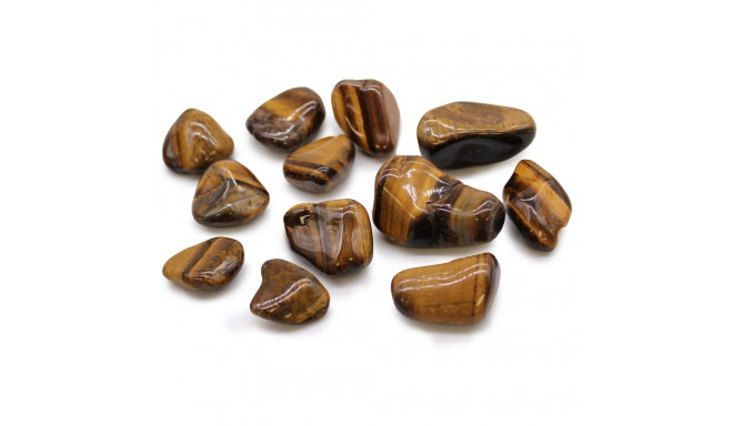 Ancient Wisdom Tiger's Eye (Golden) (12 pcs. Size M)