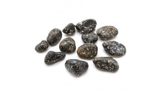 Ancient Wisdom Guinea Fowl stone (12 pcs. size M)