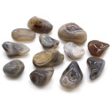 Ancient Wisdom Gray Agate (12 Pieces M Size)