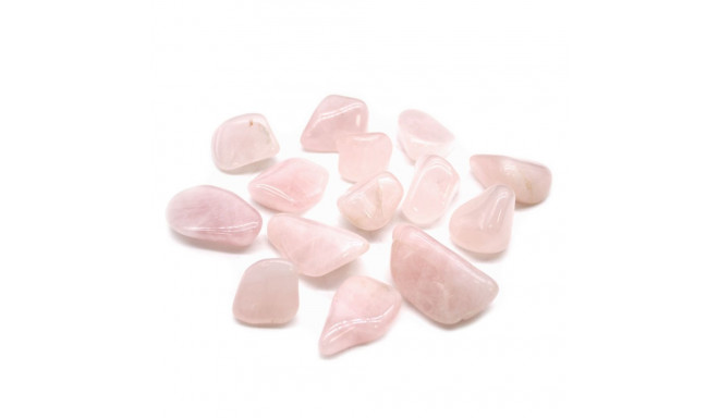 Ancient Wisdom Rose Quartz (24 Pcs. L Size)