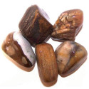 Ancient Wisdom Petrified Wood (24 pcs L size)