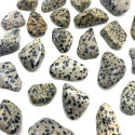 Ancient Wisdom Dalmatian Jasper (24 Pcs. L Size)