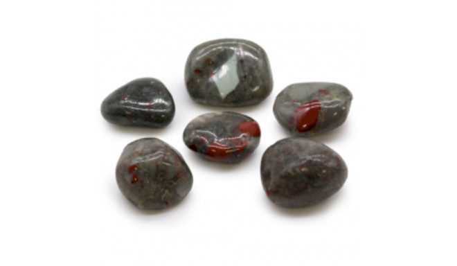 Ancient Wisdom Blood Stone (6 Pcs. L Size)