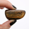 Ancient Wisdom Tiger's eye - variegated stone (6 pcs. size L)