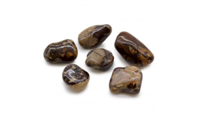 Ancient Wisdom Jasper Nguni (6 Pieces L Size)