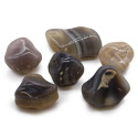 Ancient Wisdom Gray Agate - Botswana (6 Pieces L Size)