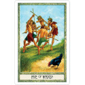US Games Systems The Druidcraft Tarot Cards