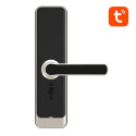 Avatto SDL-A270-S digital smart lock -6072 Wi-Fi Silver