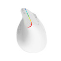 Wireless Vertical Mouse Delux M618C 2.4G 1600DPI RGB (white)