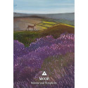Hay House The Rooted Woman Oracle Cards