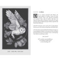 Mcmeel Publishing Woodland Wardens Oracle Kortos Andrews