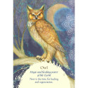 Findhorn Press Oracle Of The Birds Cards