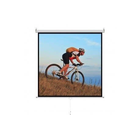 Manual Screen 1: 1 118" 213x213cm MS-84 1:1