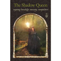 Hay House Wisdom Of The Hidden Realms Oracle Cards
