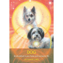 Hay House Archangel Animal Oracle Cards