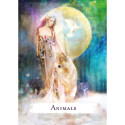 Hay House Spellcasting Oracle Cards