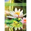 Messages from the Spirits of Nature Oracle cards Hay House