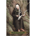 Lo Scarabeo A Compendium Of Witches Oracle Cards