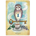 Llewellyn Anatomy Of A Witch Oracle Cards