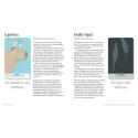 Cico Books Unusual Animal Messages Oracle Cards