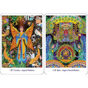 Destiny Books Amazonian Angel Oracle Cards