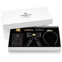 Balmain hair clip Limited Edition Hair Slide Bow Large FW21