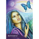 Blue Angel The Zen Of Animals Oracle Cards