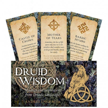 Rockpool Druid Wisdom Inspiration Cards