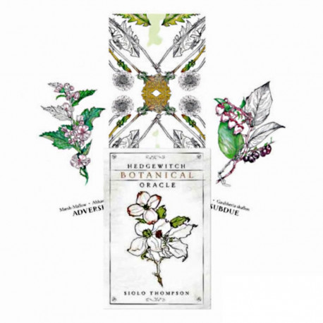 Llewellyn Hedgewitch Botanical Oracle Cards