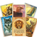 Blue Angel The Secret Language Of Animals Oracle Cards