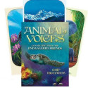 Blue Angel Animal Voices Oracle Cards