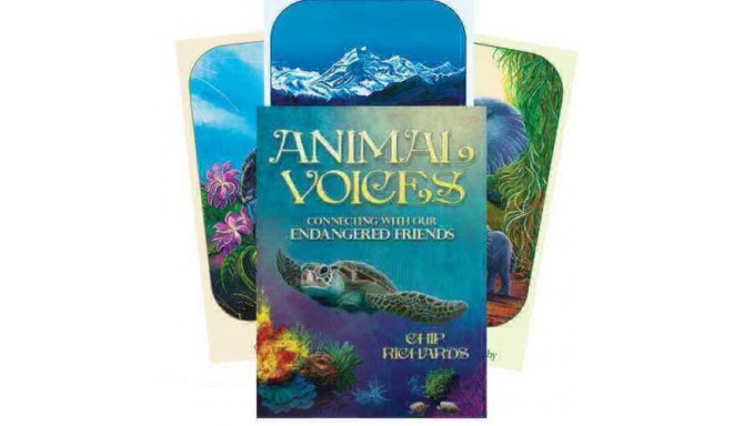 Blue Angel Animal Voices Oracle Cards